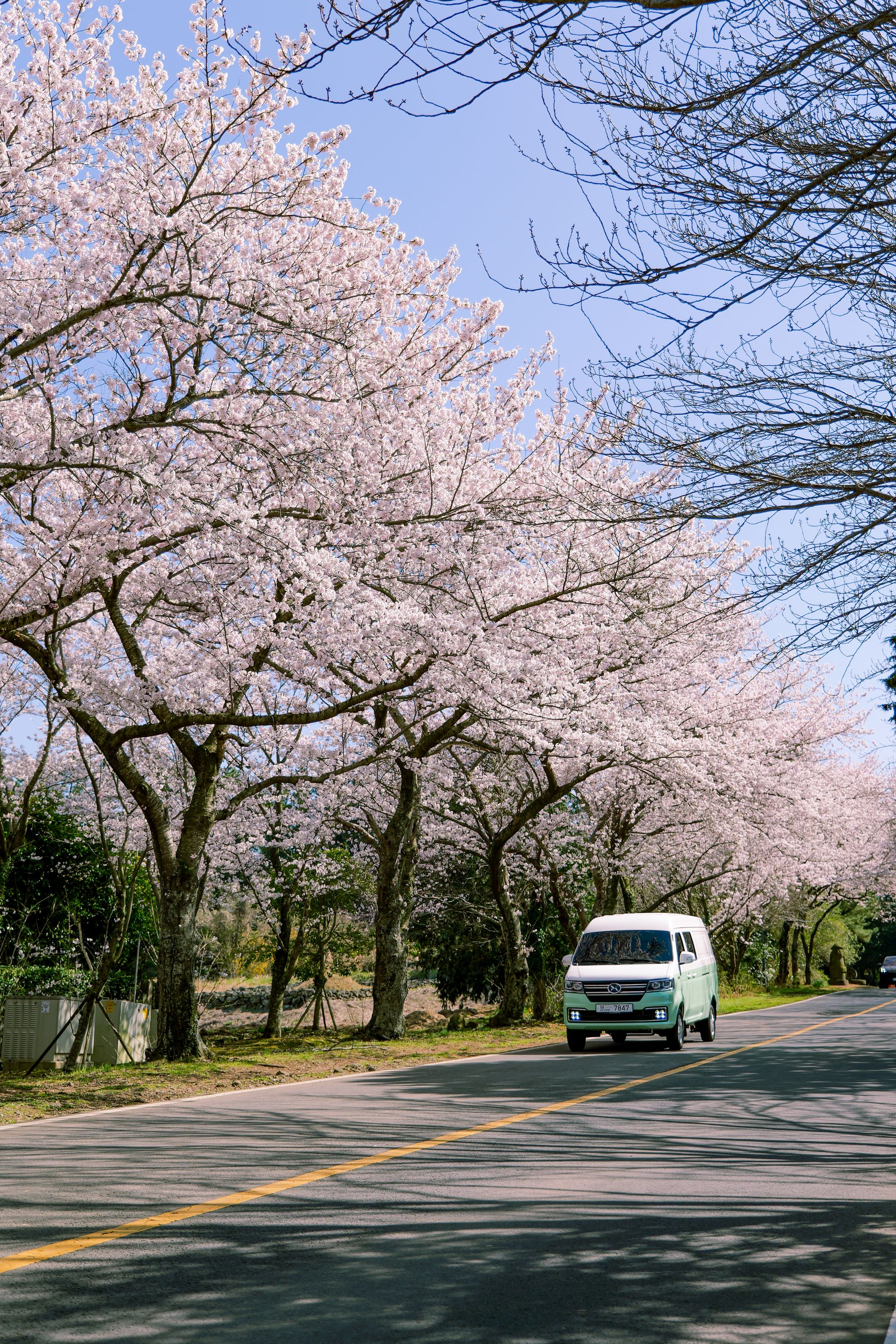 Shineray | Appreciation